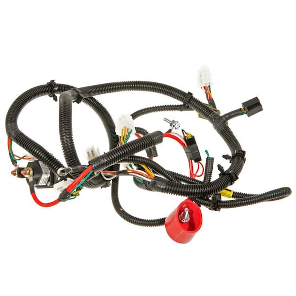 Harness-Main E-Pt